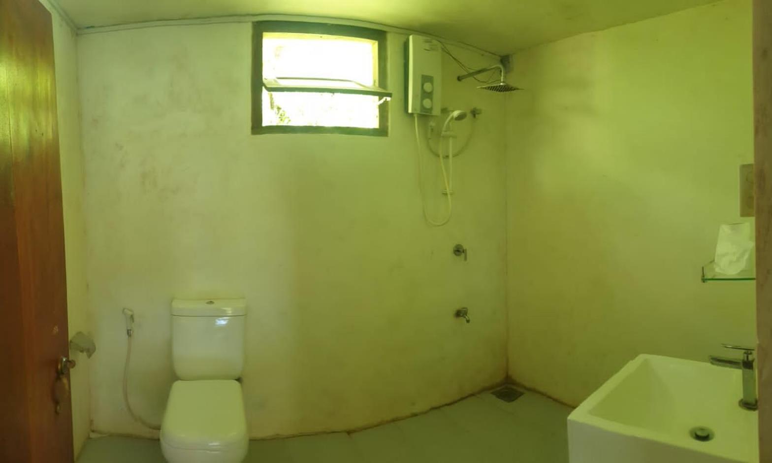 Sinharaja Hostel 114 Deniyaya Dış mekan fotoğraf