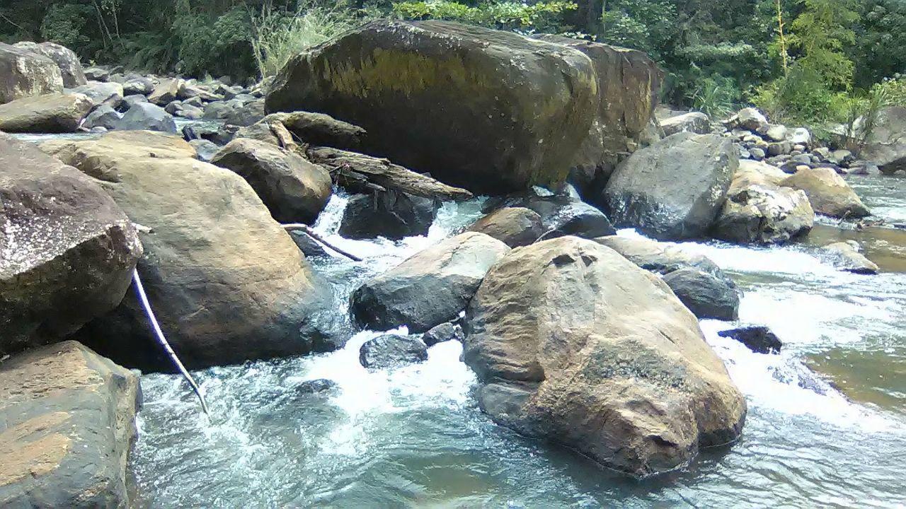 Sinharaja Hostel 114 Deniyaya Dış mekan fotoğraf
